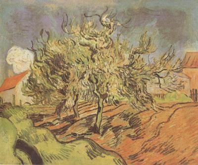 Vincent Van Gogh Landscape with Three and a House (nn04) oil painting picture